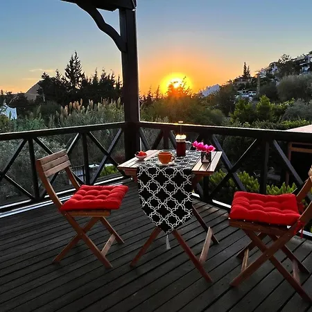 Villa Serenity In Designer