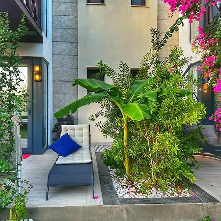 Villa Serenity In Designer