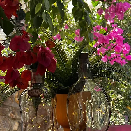 Serenity In Designer Villa *