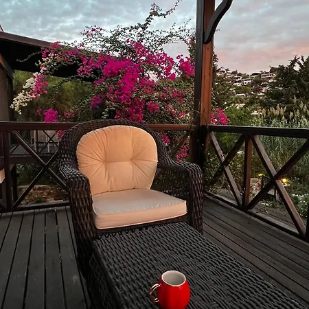 Villa Serenity In Designer Bodrum