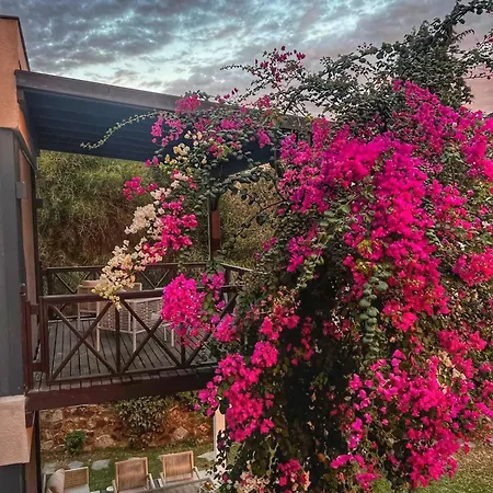 Serenity In Designer Villa *