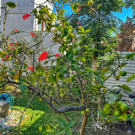 Villa Serenity In Designer Bodrum