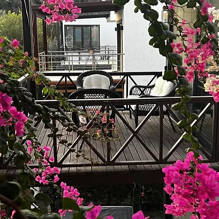 Villa Serenity In Designer