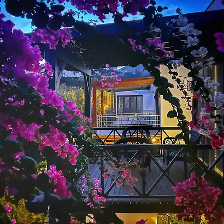 Serenity In Designer Villa Bodrum
