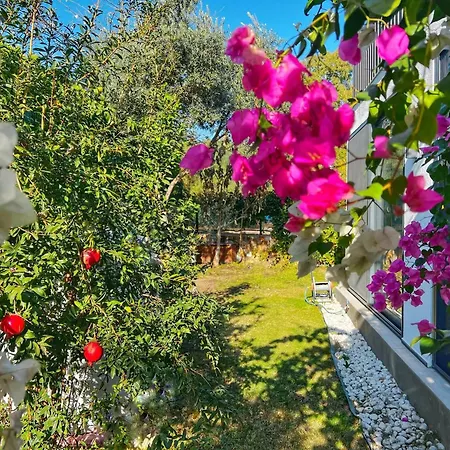 Serenity In Designer Villa Bodrum
