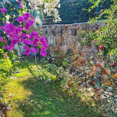 Serenity In Designer * Bodrum